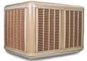 Evaporativos Coolbreeze